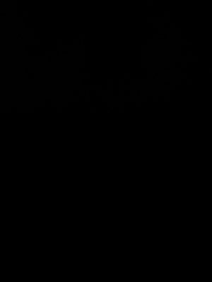 A0ecb125c6f8a4d21b8aa7a5207858f052.jpg