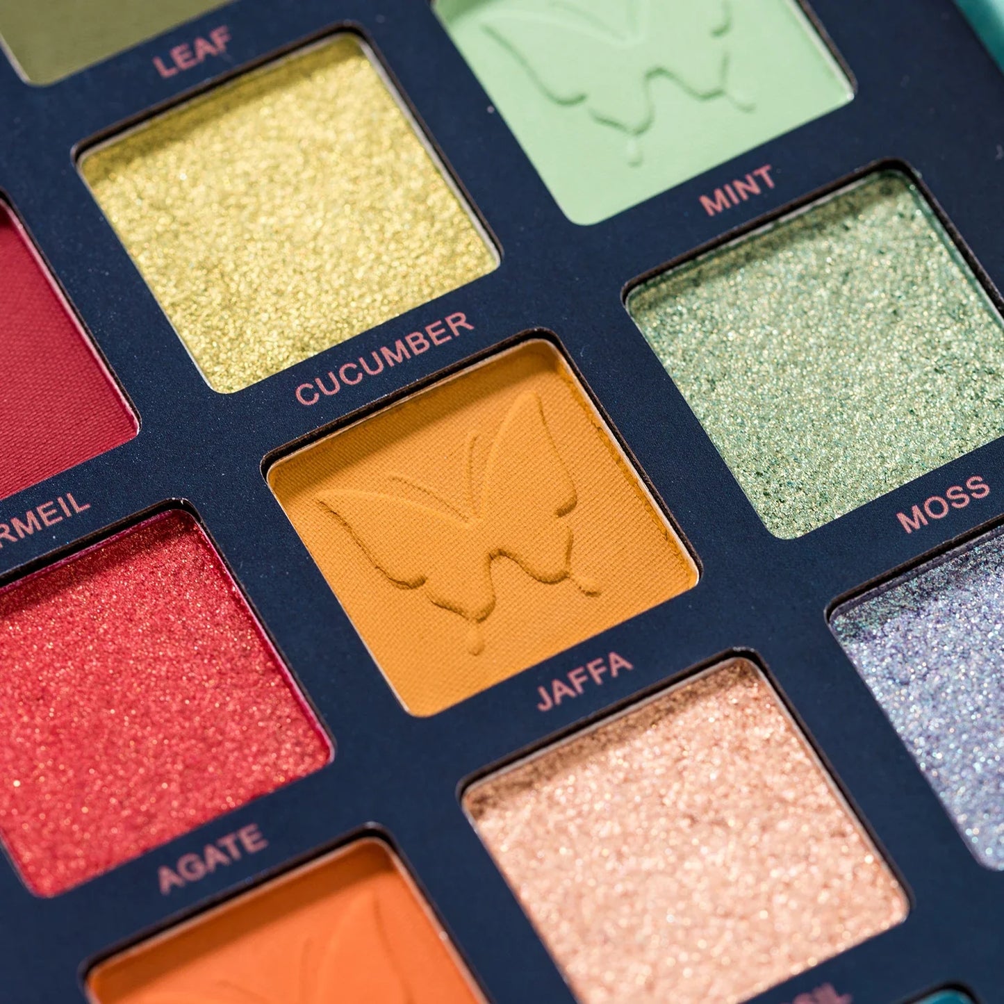 Butterfly Color Eyeshadow Palette