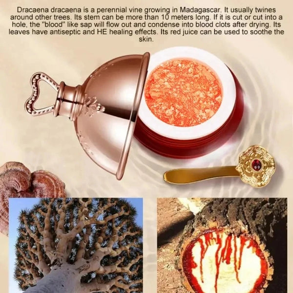 Dragon-s-Blood-Face-Cream-Retinol-Placenta-Essence-Brightening-Lift-Firming-Skin-Care-Korean-Cosmetics.jpg