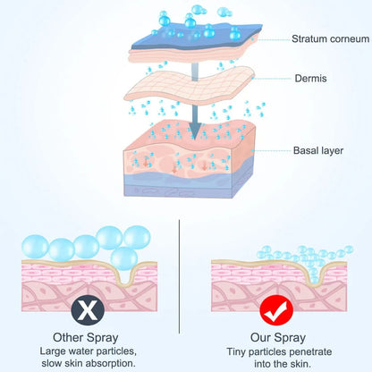 Portable Skin Mist Sprayer