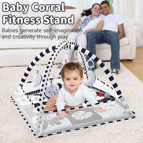 Cozy Baby Activity Play Gym